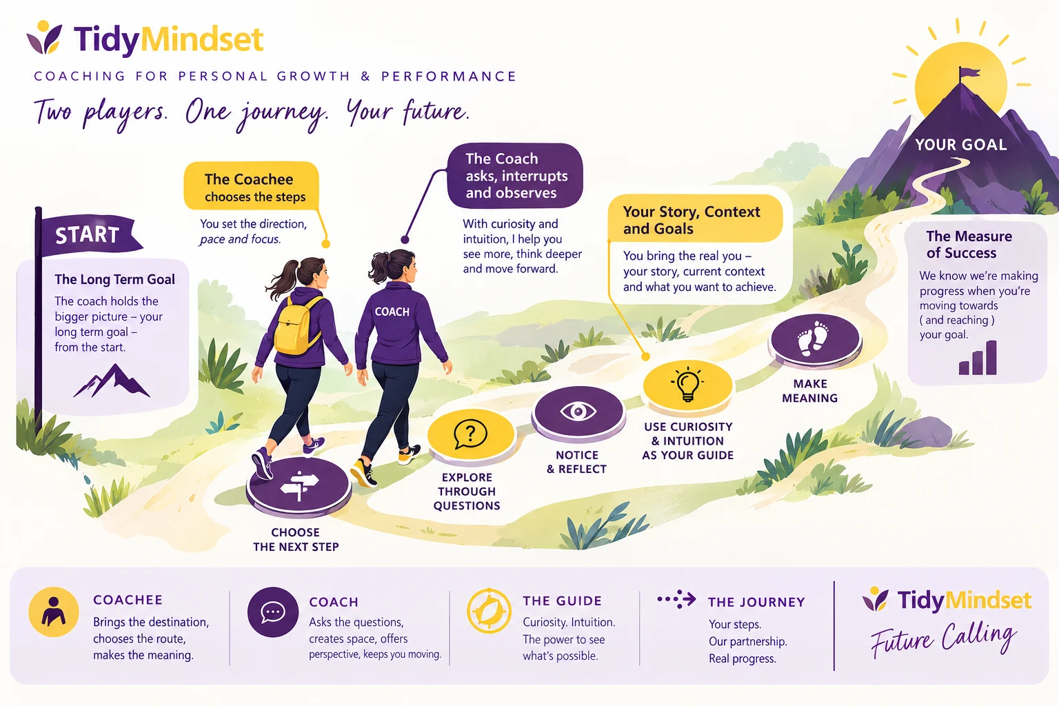 Illustration of the coaching journey: two walkers on a winding path from a START flag to a mountain labelled Your Goal. The coachee chooses the steps and the coach asks, interrupts and observes. Stepping stones along the path read: choose the next step, explore through questions, notice and reflect, use curiosity and intuition as your guide, and make meaning.